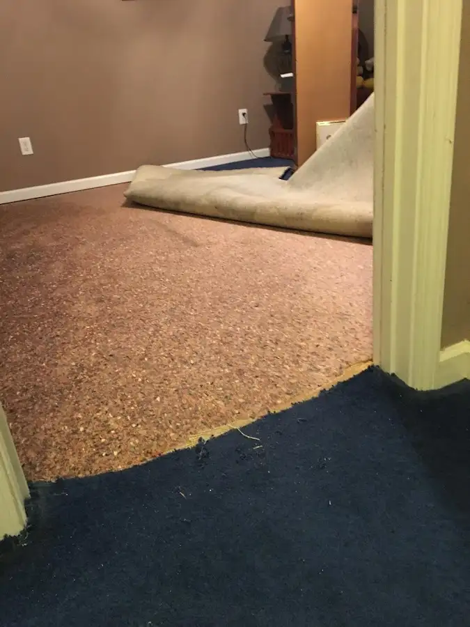 Carpet pad removal revealing water damage during Drying & Dehumidification in Carrboro